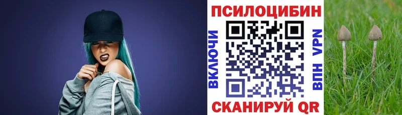 Псилоцибиновые грибы мицелий  Глазов 